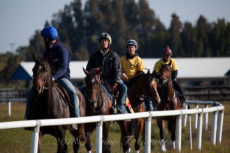 Payson Park Image