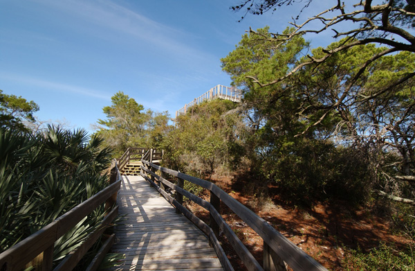 wooden walkway