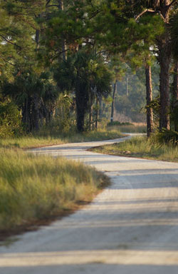 DuPuis Wildlife Management Area Image