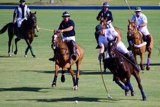 Port Mayaca Polo Club