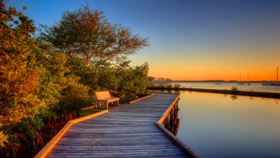 Manatee Pocket Boardwalk Image