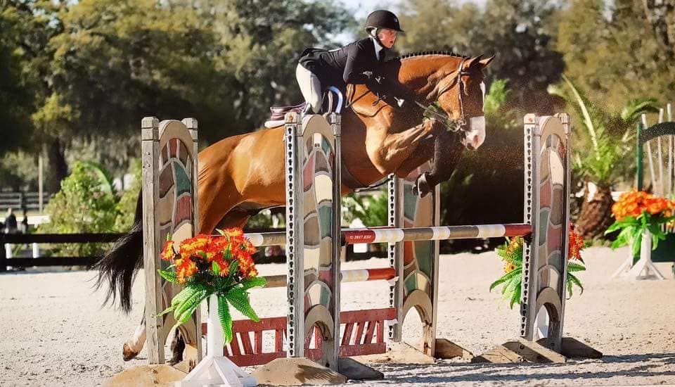 Treasure Coast Stables