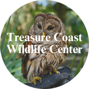 treasure coast wildlife center