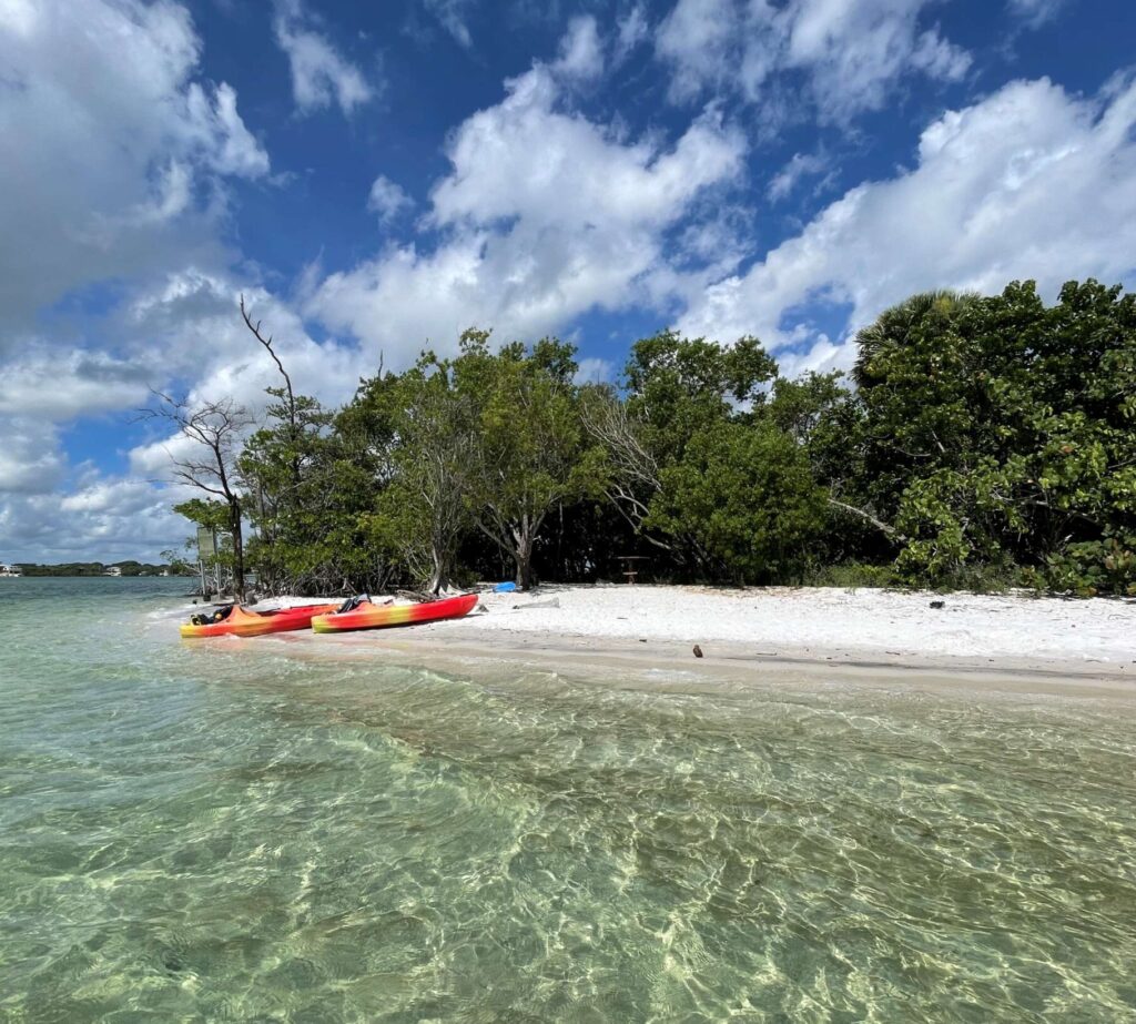 kayaks on a wooded beach