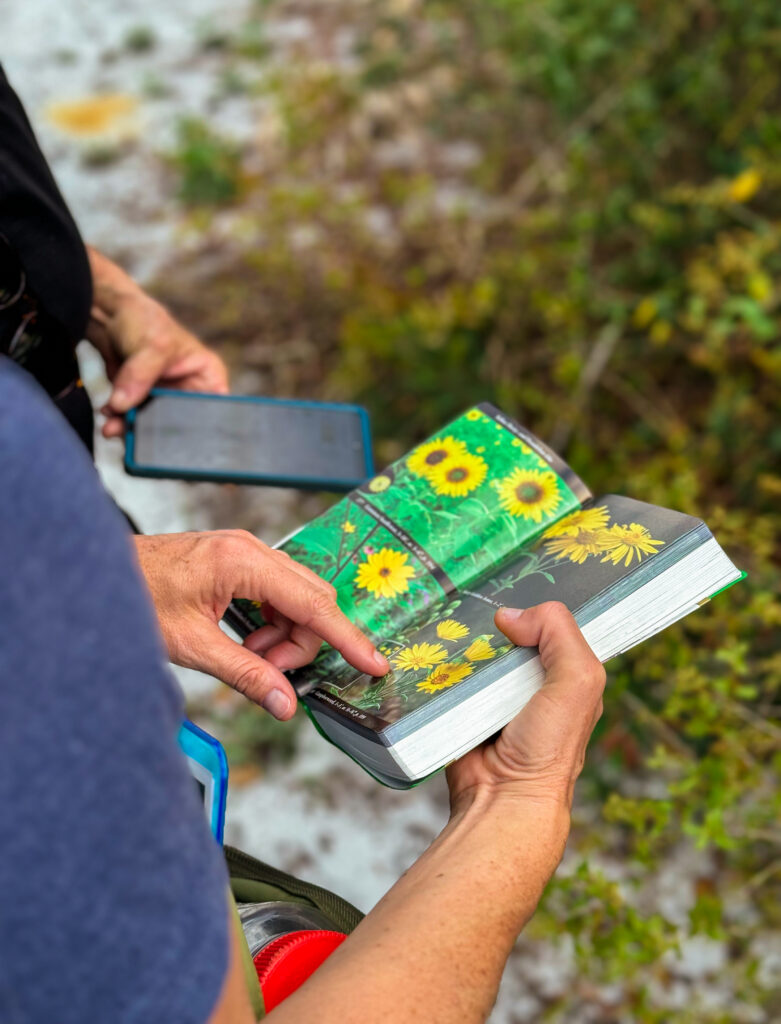 person reading a book