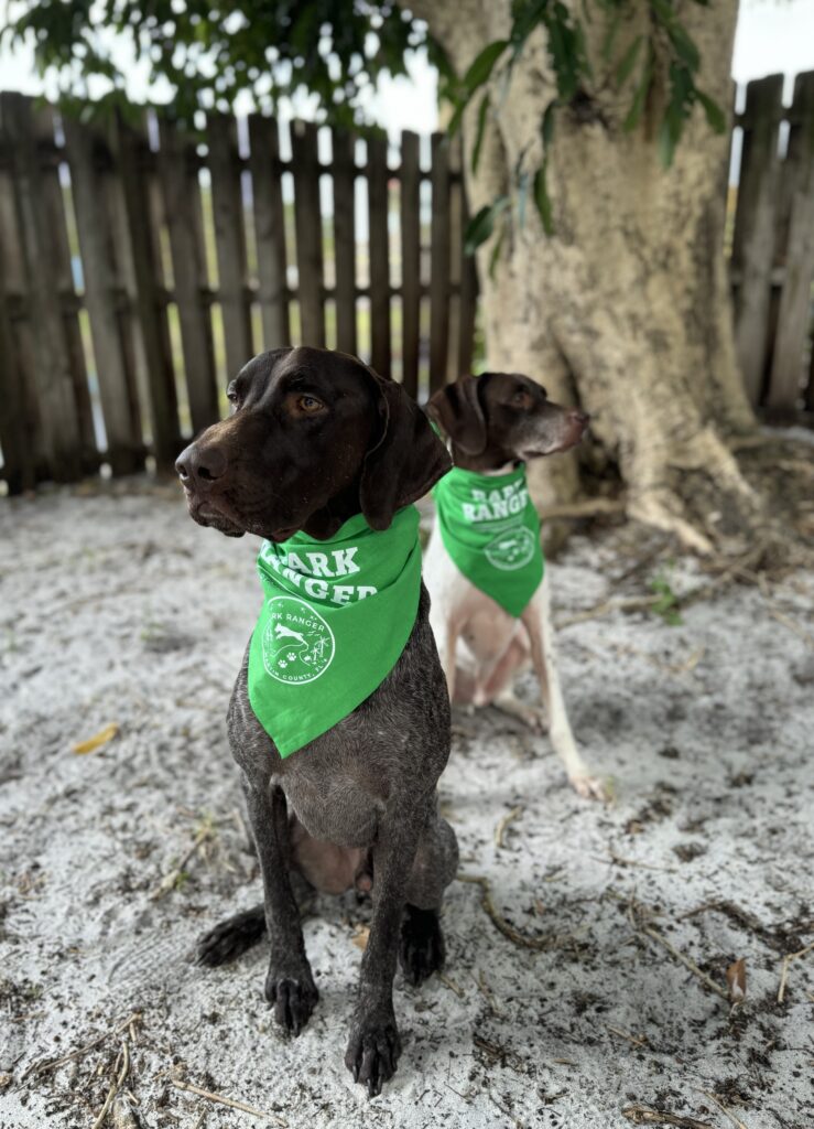 two dogs with bandana